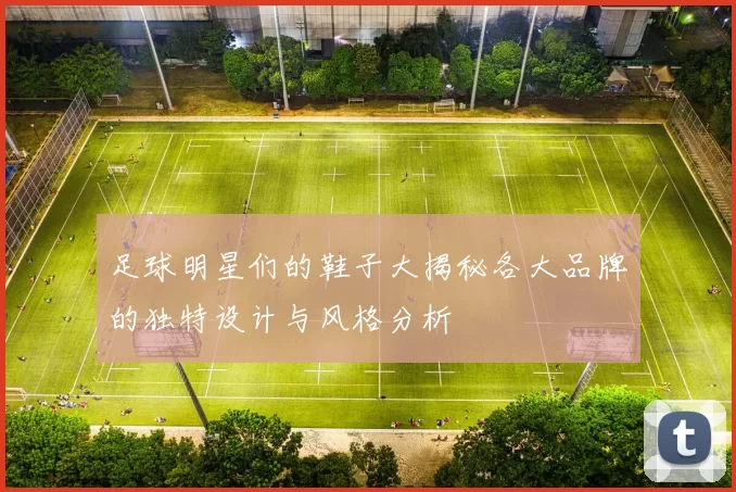 足球明星们的鞋子大揭秘各大品牌的独特设计与风格分析