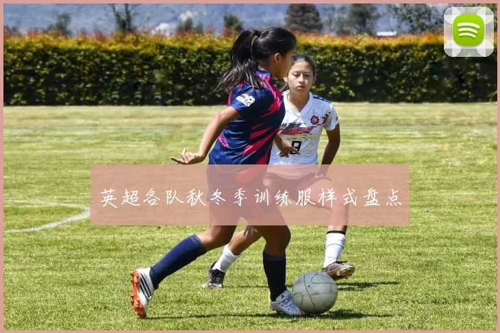 英超各队秋冬季训练服样式盘点