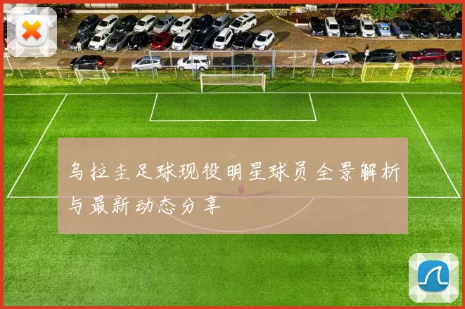 乌拉圭足球现役明星球员全景解析与最新动态分享