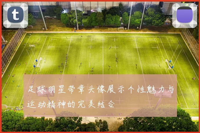 足球明星带章头像展示个性魅力与运动精神的完美结合