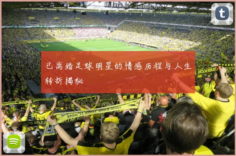 已离婚足球明星的情感历程与人生转折揭秘