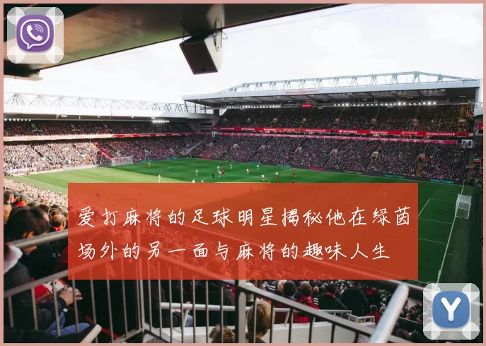 爱打麻将的足球明星揭秘他在绿茵场外的另一面与麻将的趣味人生