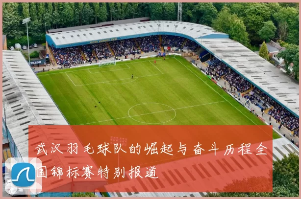 武汉羽毛球队的崛起与奋斗历程全国锦标赛特别报道