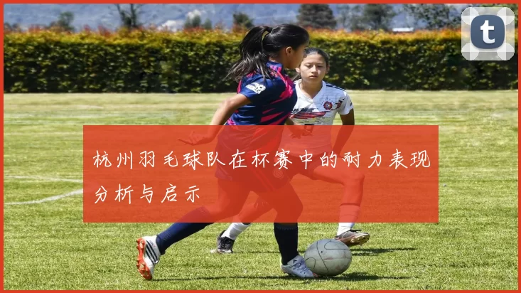 杭州羽毛球队在杯赛中的耐力表现分析与启示