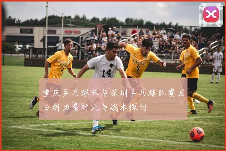 重庆乒乓球队与深圳乒乓球队赛后分析力量对比与战术探讨