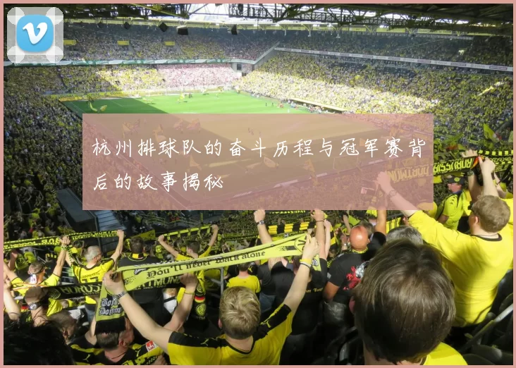 杭州排球队的奋斗历程与冠军赛背后的故事揭秘