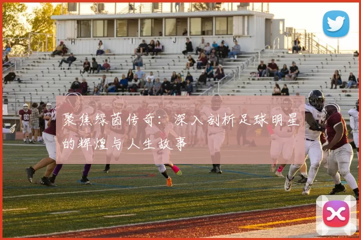 聚焦绿茵传奇：深入剖析足球明星的辉煌与人生故事