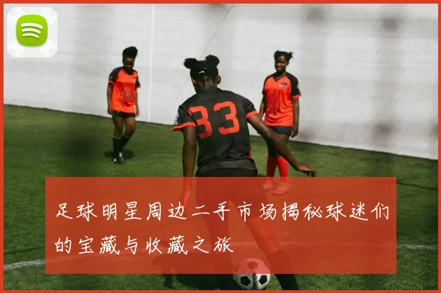 足球明星周边二手市场揭秘球迷们的宝藏与收藏之旅