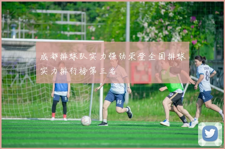 成都排球队实力强劲荣登全国排球实力排行榜第三名