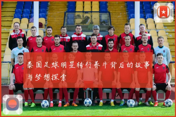 泰国足球明星转行养牛背后的故事与梦想探索