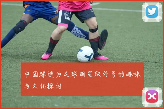 中国球迷为足球明星取外号的趣味与文化探讨