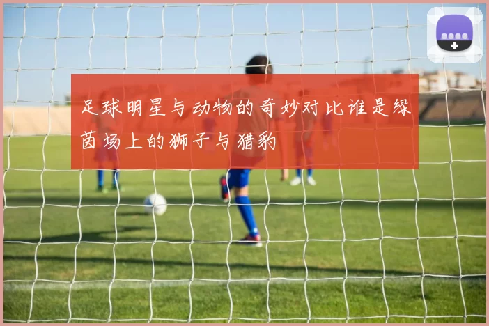 足球明星与动物的奇妙对比谁是绿茵场上的狮子与猎豹
