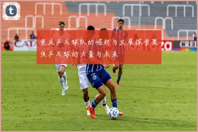 重庆乒乓球队的崛起与发展探索聚焦乒乓球的力量与未来